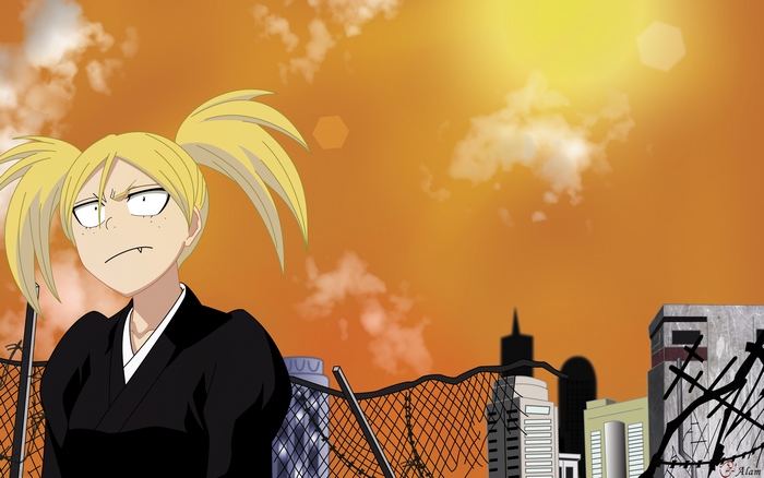 Hiyori Sarugaki from Bleach