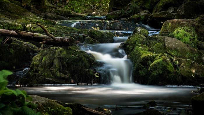 Mossy rocks and a waterfall in a forest