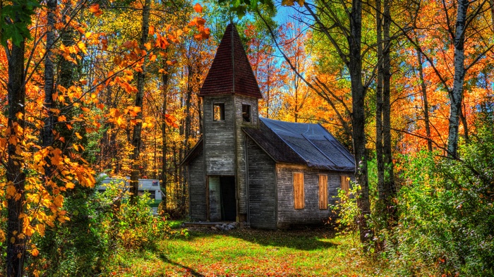 Abandoned church in autumn forest