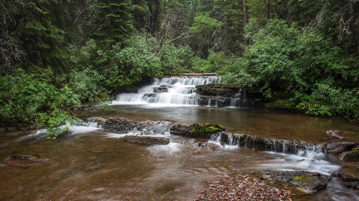 Waterfall cascading over rocks in a forest