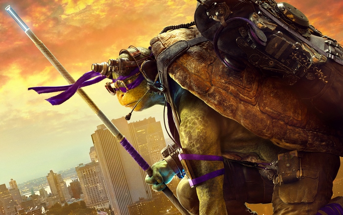 Donatello from Teenage Mutant Ninja Turtles