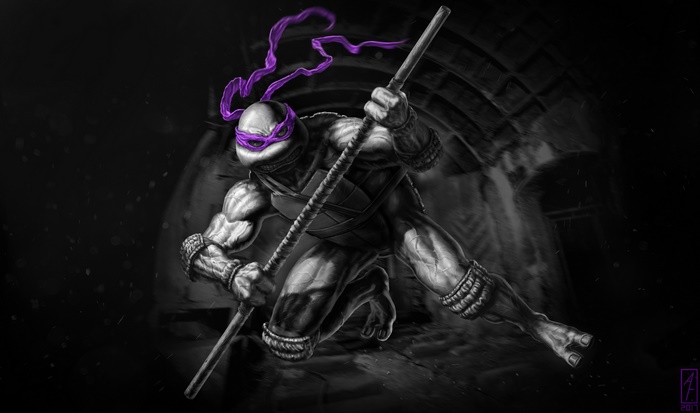 Donatello from Teenage Mutant Ninja Turtles