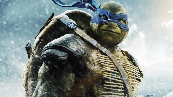 Leonardo from Teenage Mutant Ninja Turtles in snow