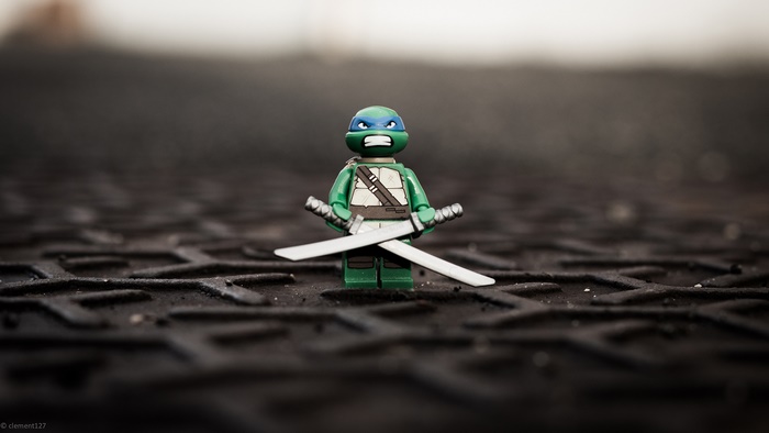 Leonardo from Teenage Mutant Ninja Turtles