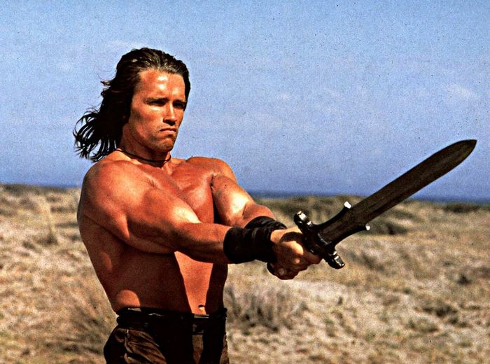 Arnold Schwarzenegger as Conan the Barbarian