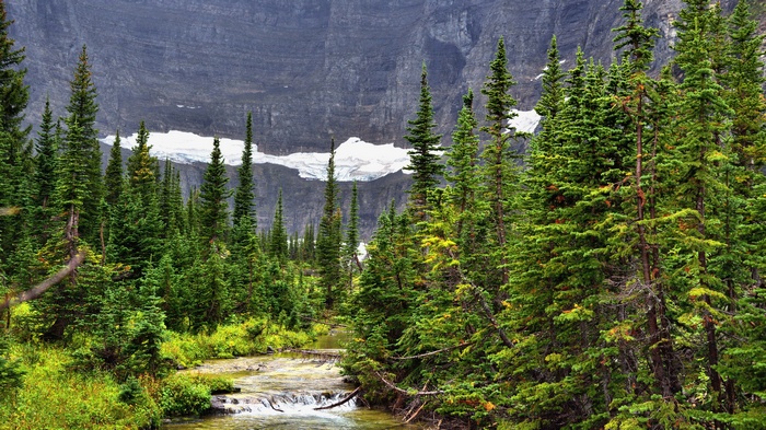 Forest stream with glacier and rocky mountain backdrop
