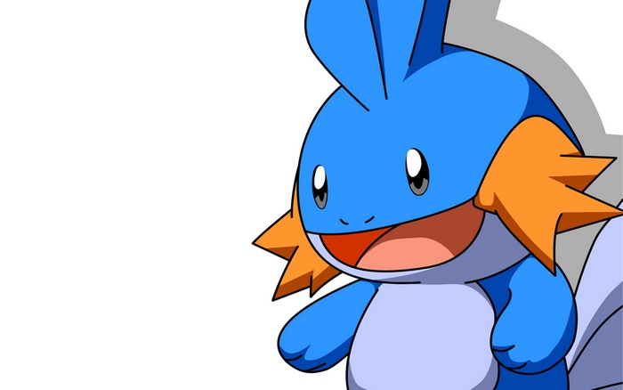 Mudkip from Pokemon