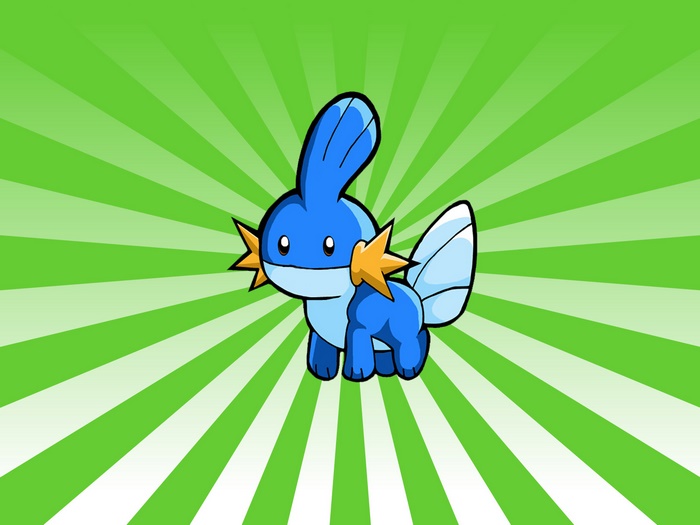 Mudkip from Pokemon