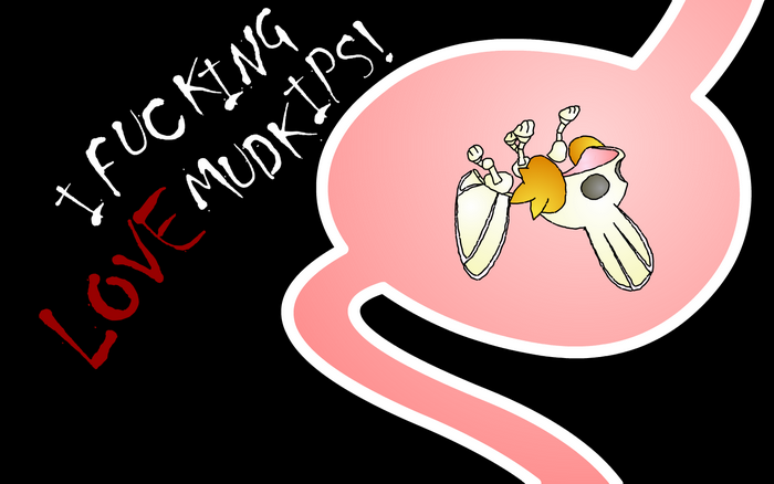 Mudkip from Pokemon