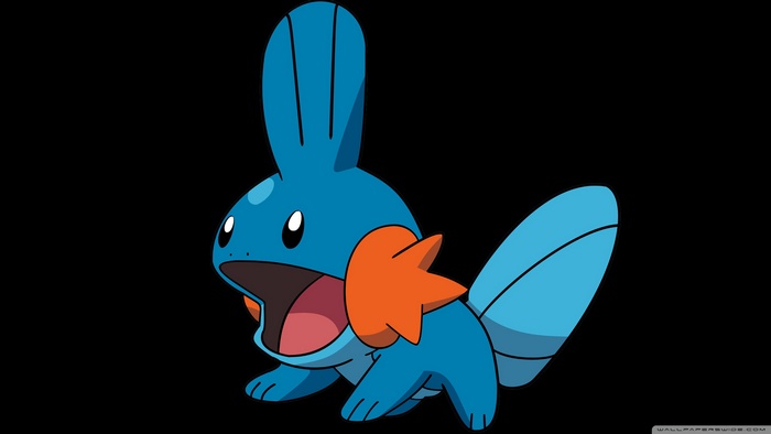 Mudkip from Pokemon