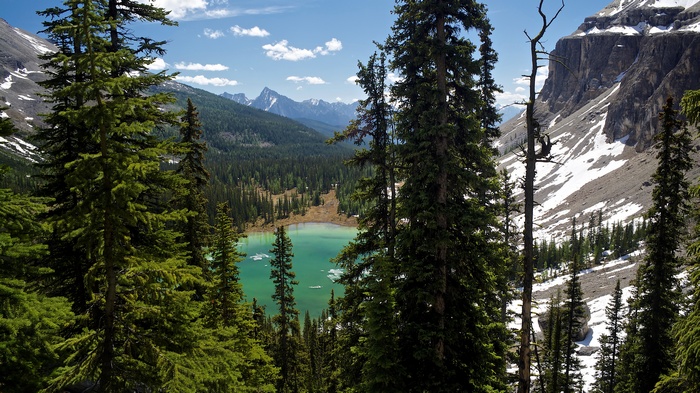 Turquoise lake surrounded by pine trees and mountains