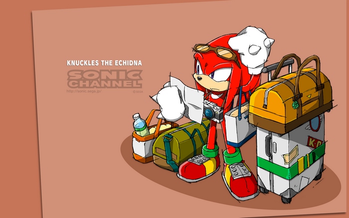 Knuckles the Echidna from Sonic Channel