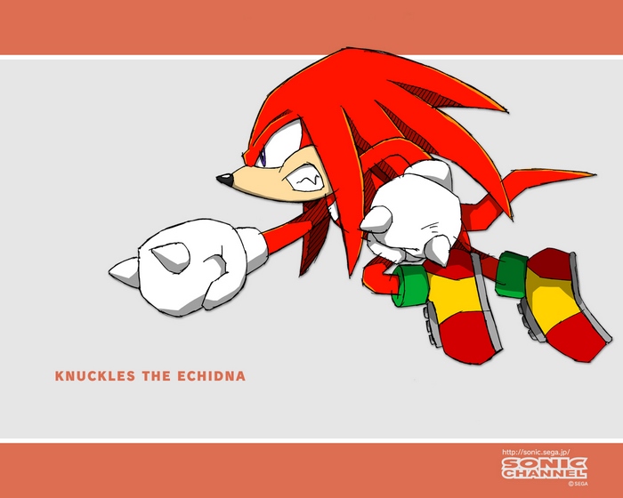 Knuckles the Echidna from Sonic the Hedgehog