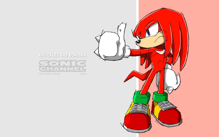 Knuckles the Echidna from Sonic Channel