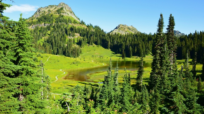 Mountain lake surrounded by evergreen trees and grassy hills