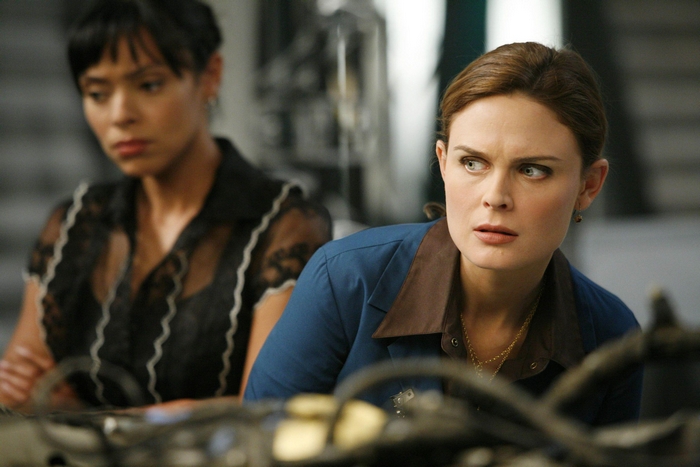 Camille Saroyan from Bones