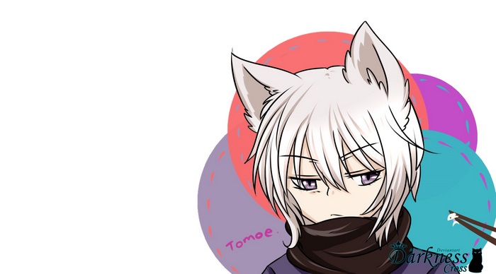 Tomoe from Kamisama Kiss
