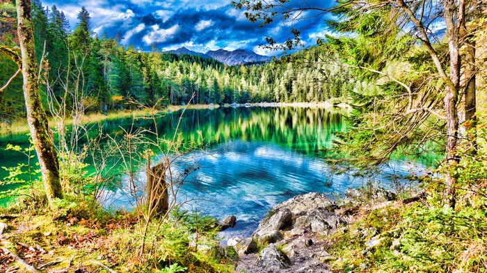 Lake surrounded by forest and mountains