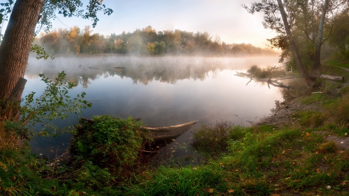 Misty river at sunrise with trees and logs