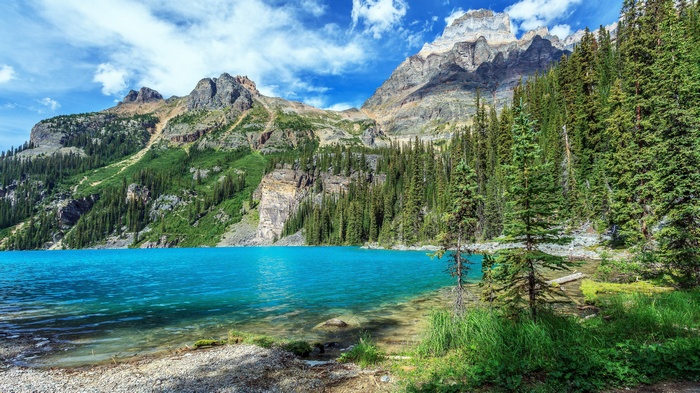 Turquoise lake and mountains with pine trees