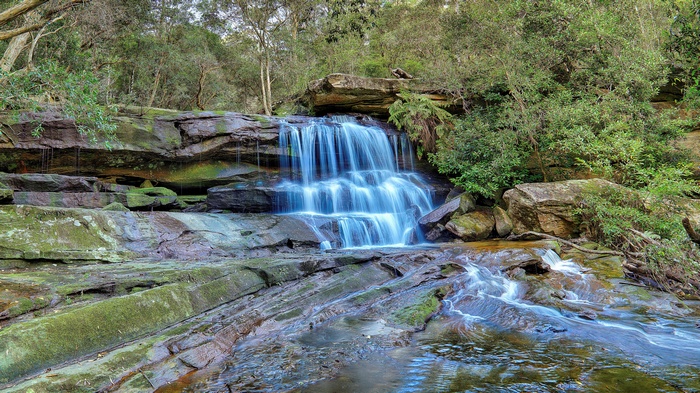 Waterfall cascading over mossy rocks in a forest