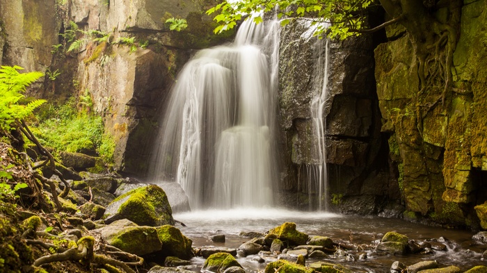 Waterfall cascading over mossy rocks in a forest