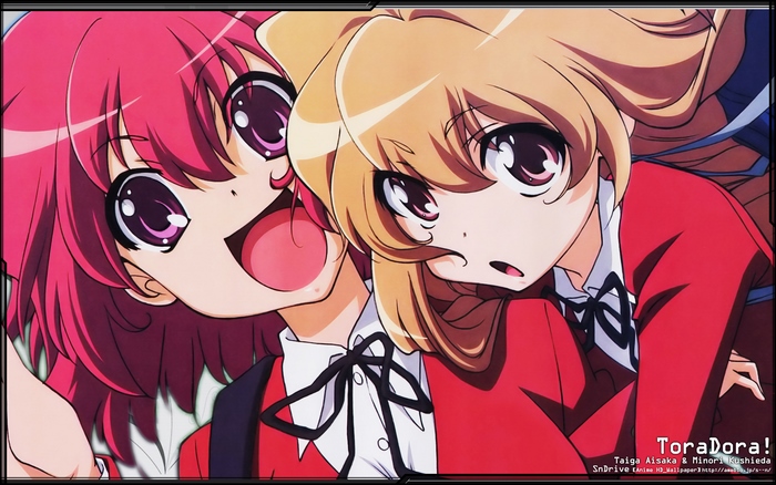 Taiga Aisaka and Minori Kushieda from Toradora!