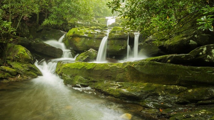 Mossy rocks and waterfalls in a forest
