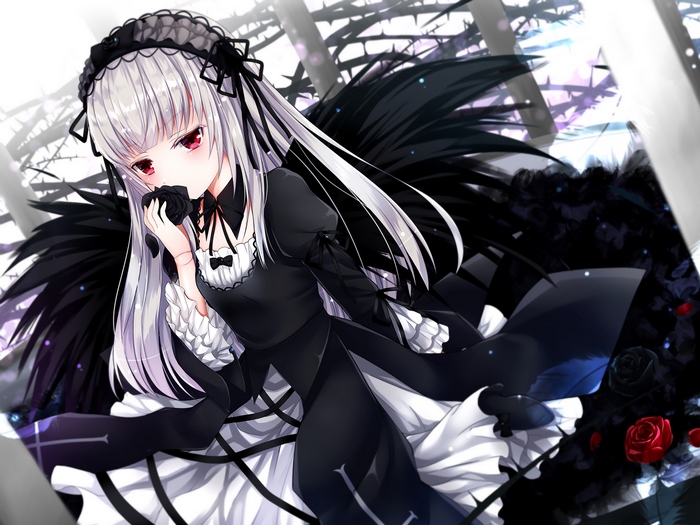 Suigintou from Rozen Maiden