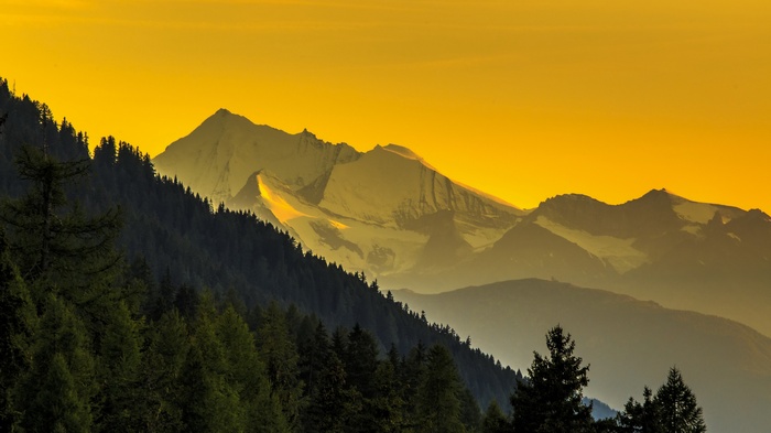 Snow-capped mountains at sunset with pine forest