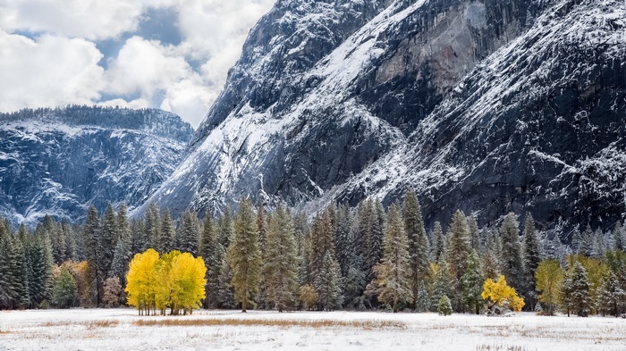 Snowy mountains and autumn trees in a valley