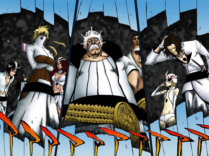 Baraggan Louisenbairn and Sternritter from Bleach