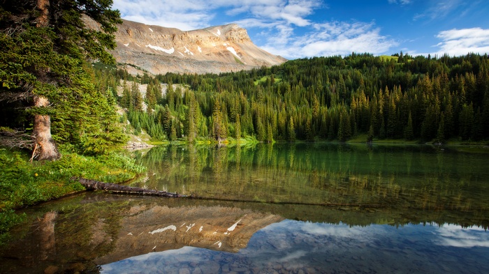 Mountain lake with evergreen forest and reflection