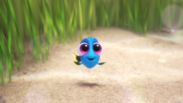 Baby Dory from Finding Dory