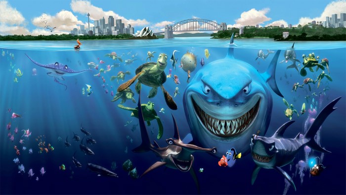 Dory and friends in Sydney Harbour