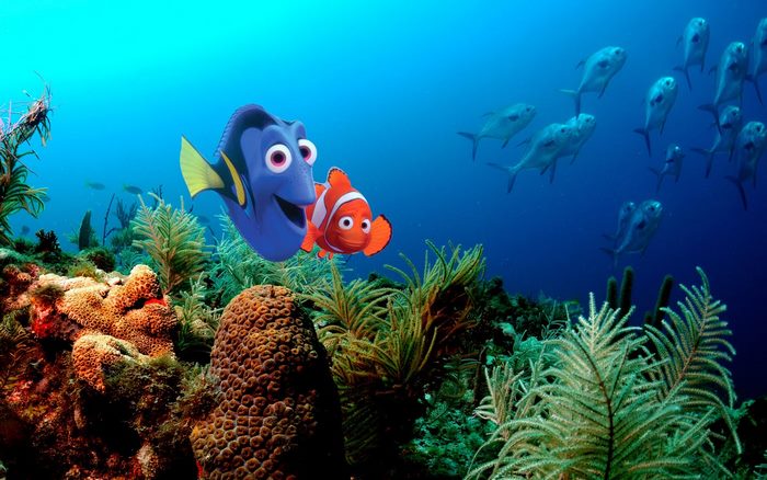 Dory and Nemo from Finding Nemo