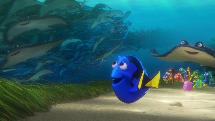 Dory from Finding Nemo with other fish and stingrays