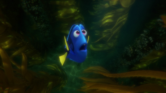 Dory from Finding Nemo