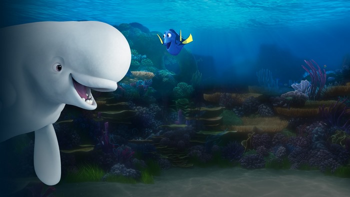 Dory and a Beluga Whale underwater