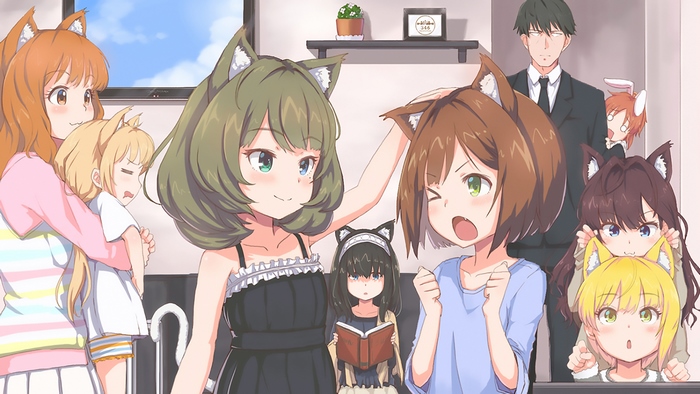 Anime girls with cat ears in a room