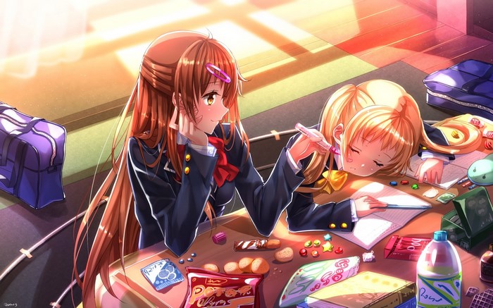 Two anime girls studying at a desk
