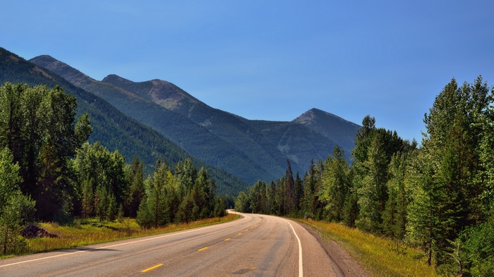 Winding road through a mountain valley with pine trees