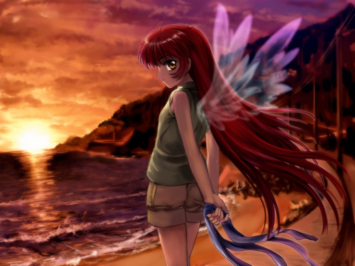 Michiru with wings at sunset