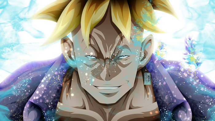 Marco from One Piece
