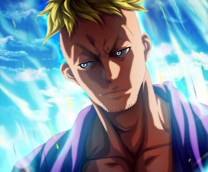 Marco from One Piece