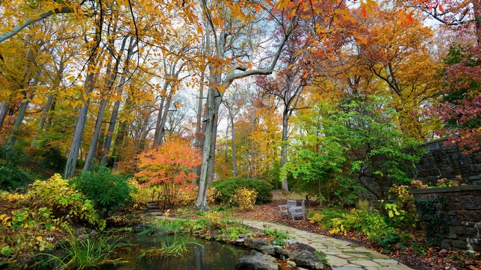 Autumn garden with a pond and stone wall