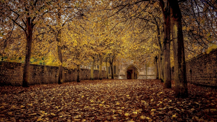 Autumn pathway with stone wall and building entrance