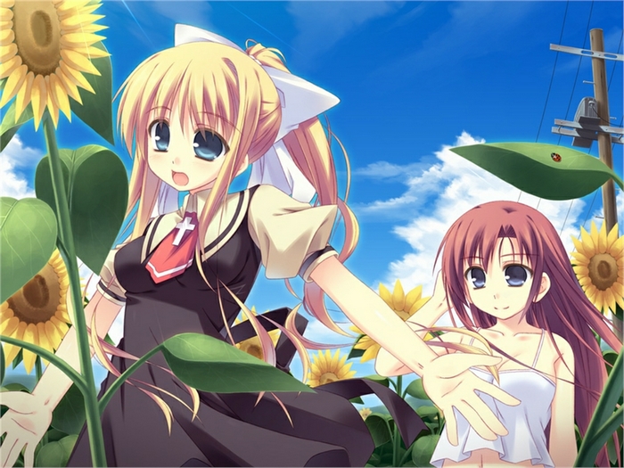Haruko Kamio in a sunflower field