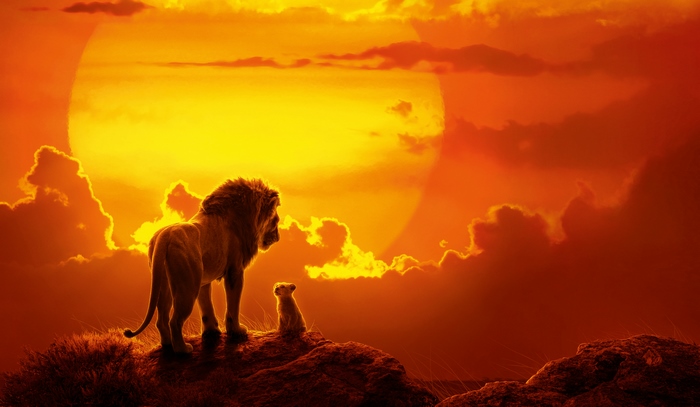 Simba from The Lion King