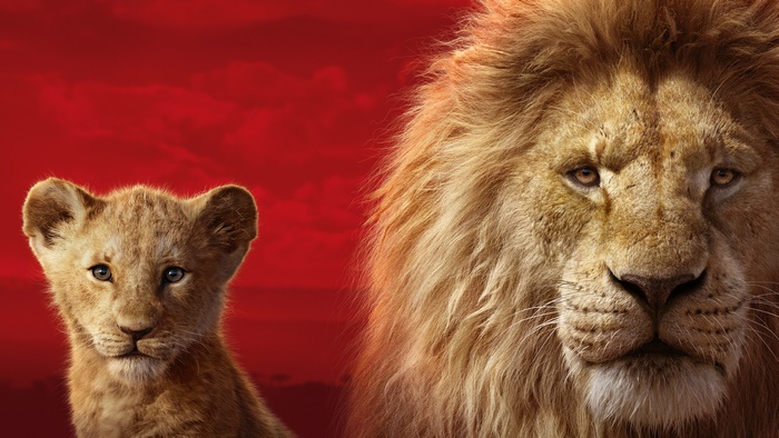 Simba from The Lion King